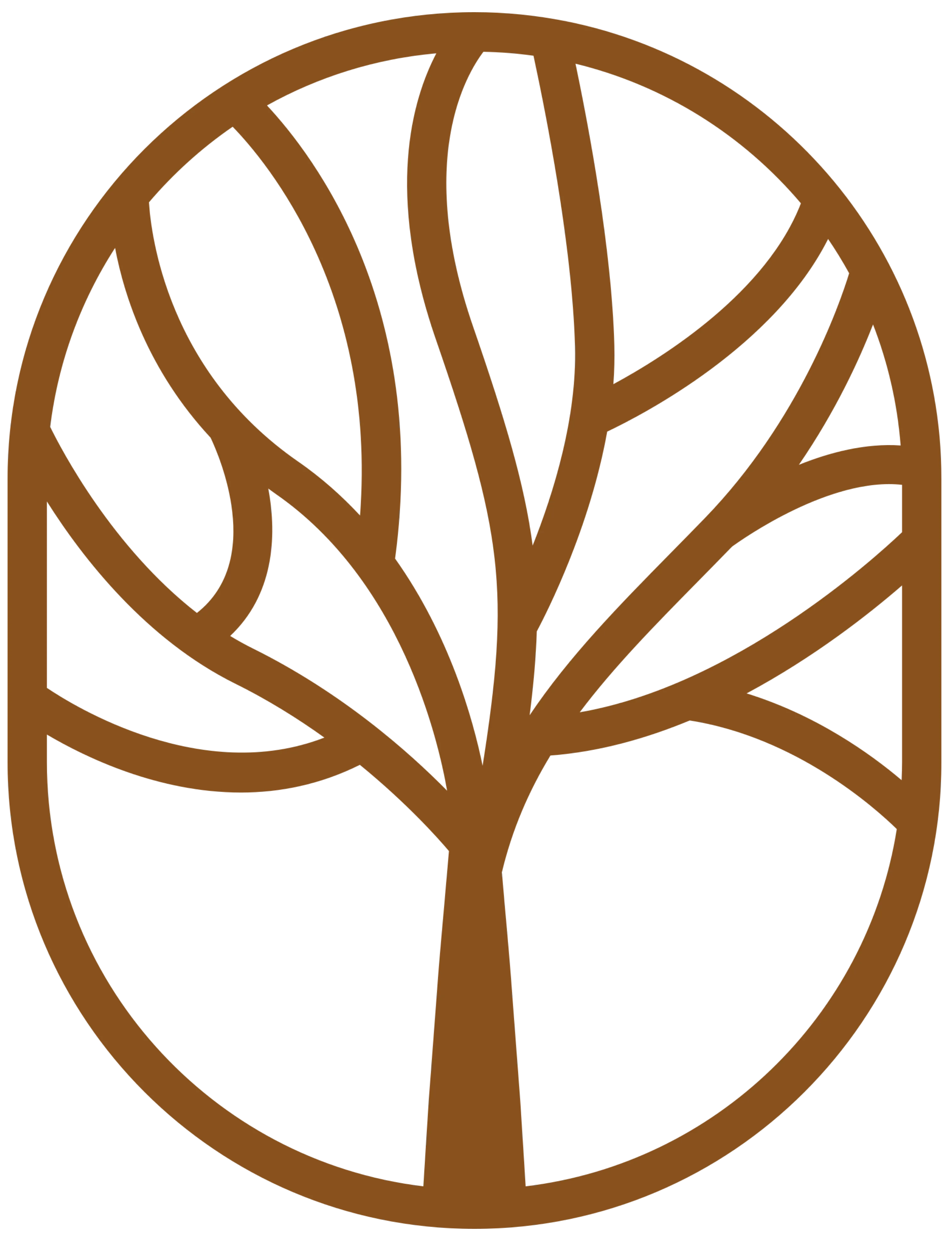 Physiotherapie Volkov Logo