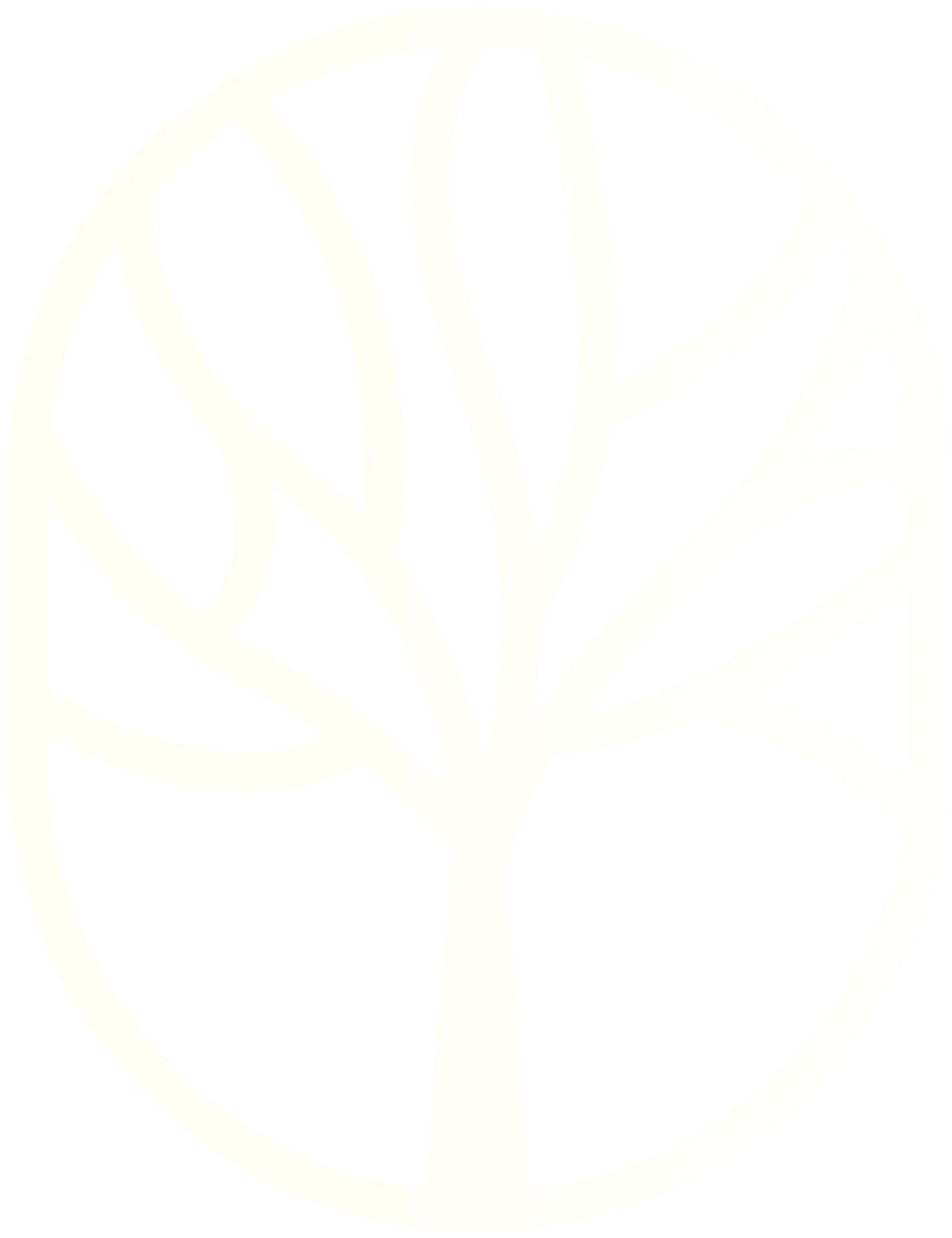 Physiotherapie Volkov - Logo